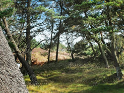 Three-Bedroom Holiday home in Rømø 15