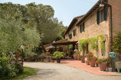 Casa Vacanze Podere Settefrati - Montaione