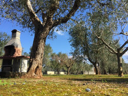 Sweet home in nature reserve