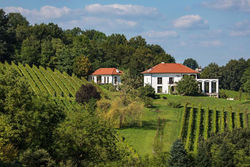 Weingut Hirschmugl - Domaene am Seggauberg