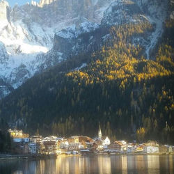 una civetta sul lago