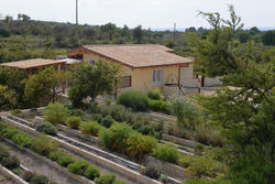 Residence Del Tellaro