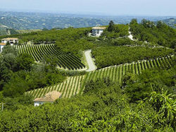 Agriturismo Cascina Anrì