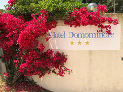 Hotel Domominore