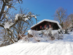 Ferienhaus Schnider