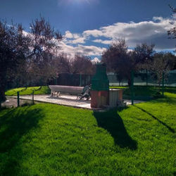 Cottage in the olive farm