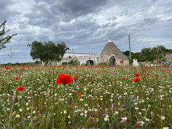 Trullo il Zippo in Zippitello