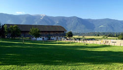 Im Grünen mit Panoramablick auf Bruneck - Beste Lage