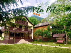 Vila Pelin