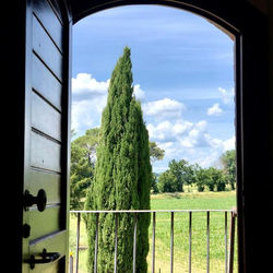 Casale Viridi - nel fresco delle colline Umbre