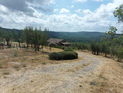 Little House in the Olive Grove