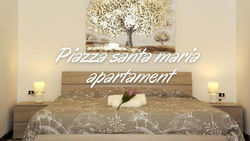 Lovely Piazza Santa Maria Apartment