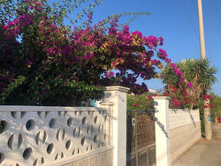 Casa vacanze “Bougainvillea”