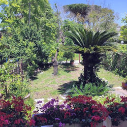 una casa con vista su un bel giardino