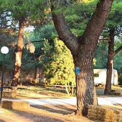 VILLAGGIO CAMPING TIZIANA