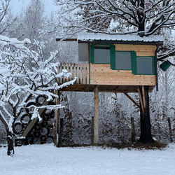 Căsuța in copac Langaland